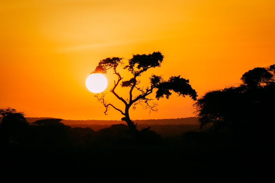 Zimbabwe casino online