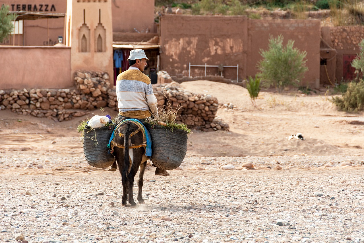 Morocco soccer